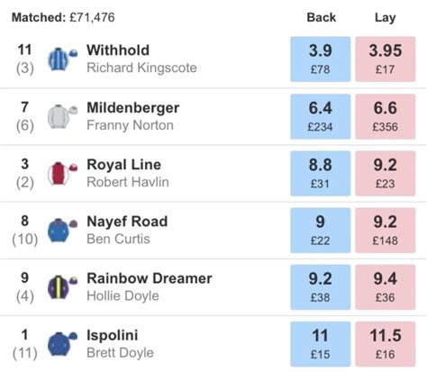 risk free bet calculator.